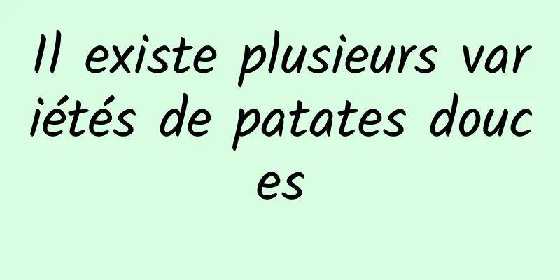 Il existe plusieurs variétés de patates douces