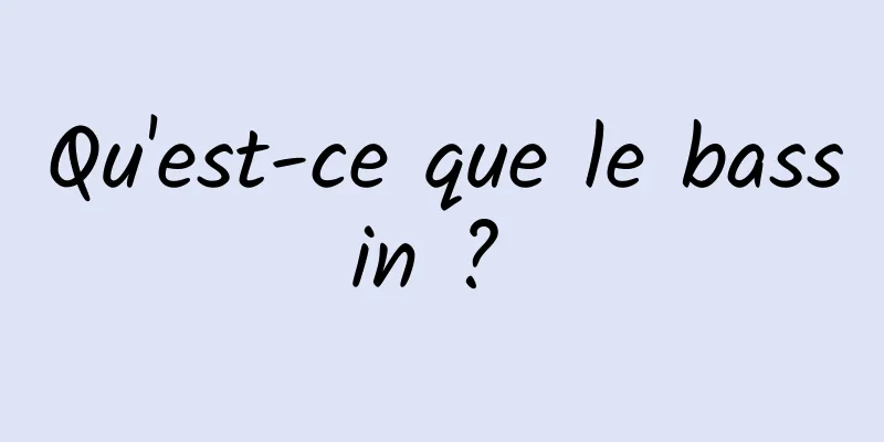 Qu'est-ce que le bassin ? 