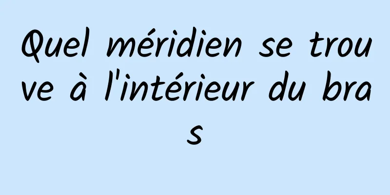 Quel méridien se trouve à l'intérieur du bras