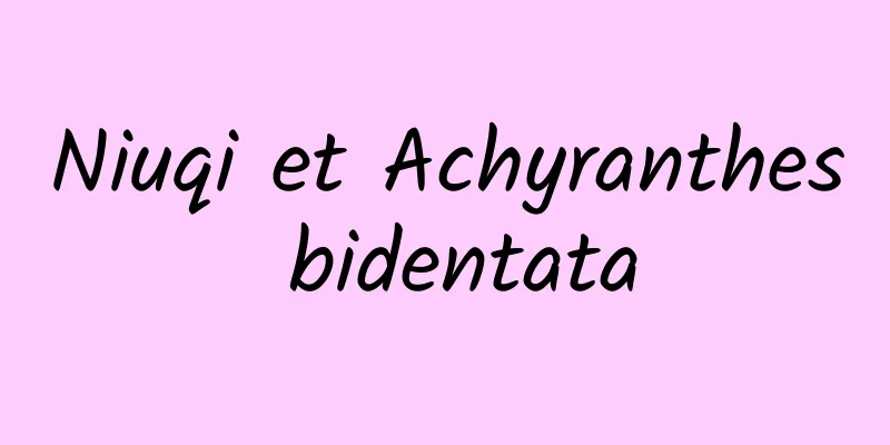 Niuqi et Achyranthes bidentata