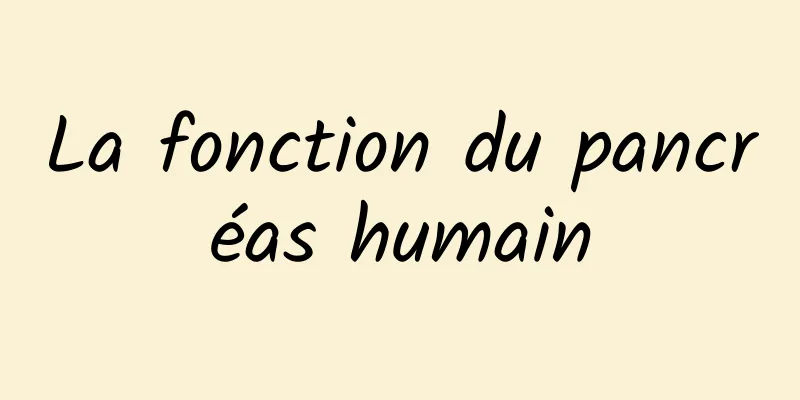 La fonction du pancréas humain