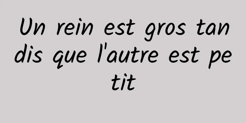 Un rein est gros tandis que l'autre est petit