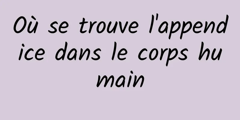 Où se trouve l'appendice dans le corps humain