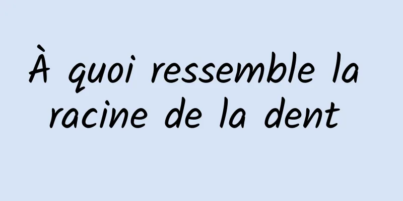 À quoi ressemble la racine de la dent 