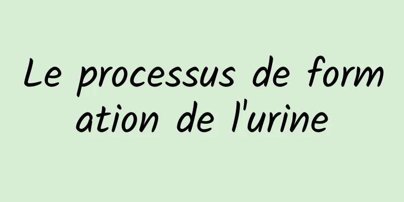 Le processus de formation de l'urine