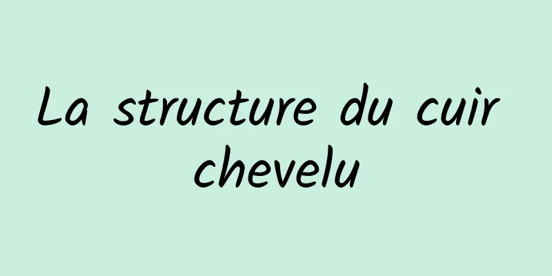 La structure du cuir chevelu