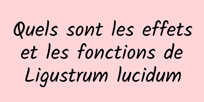 Quels sont les effets et les fonctions de Ligustrum lucidum