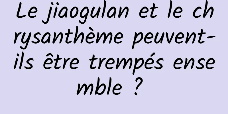 Le jiaogulan et le chrysanthème peuvent-ils être trempés ensemble ? 