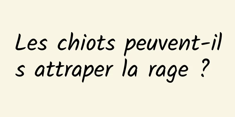 Les chiots peuvent-ils attraper la rage ? 