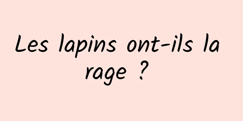 Les lapins ont-ils la rage ? 