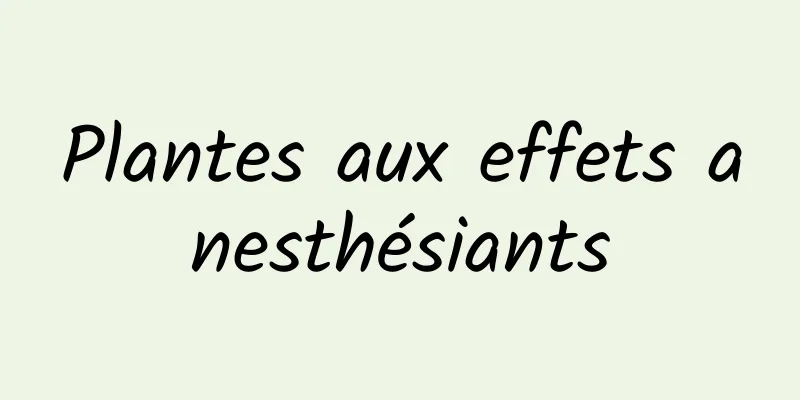 Plantes aux effets anesthésiants