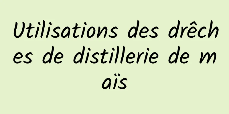 Utilisations des drêches de distillerie de maïs