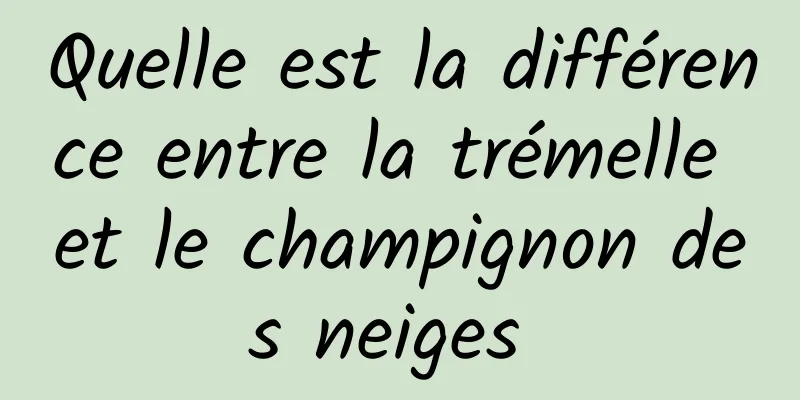 Quelle est la différence entre la trémelle et le champignon des neiges 