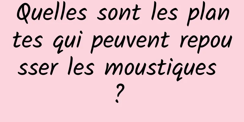 Quelles sont les plantes qui peuvent repousser les moustiques ? 