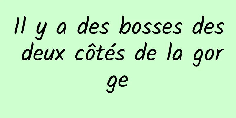 Il y a des bosses des deux côtés de la gorge