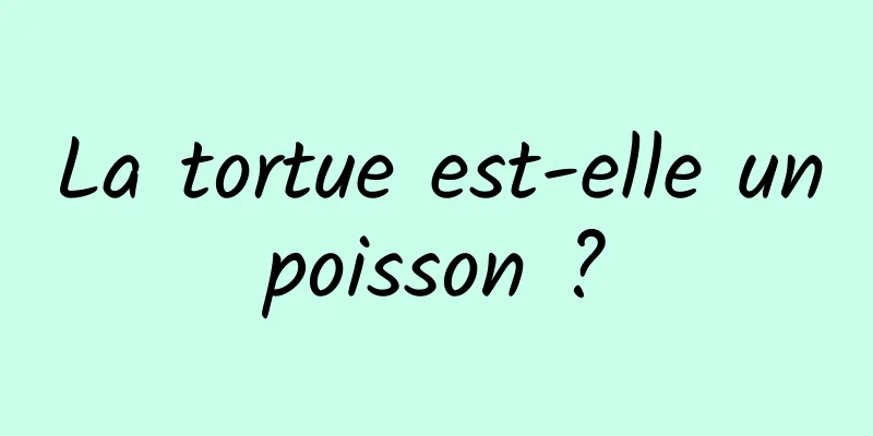 La tortue est-elle un poisson ? 