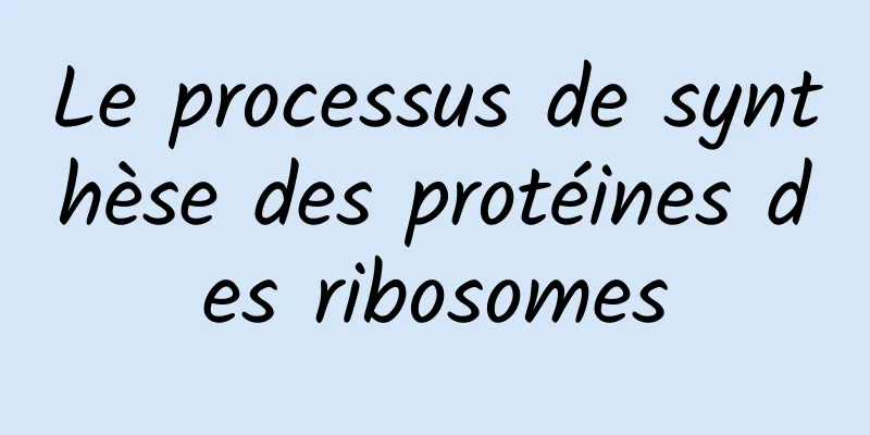 Le processus de synthèse des protéines des ribosomes