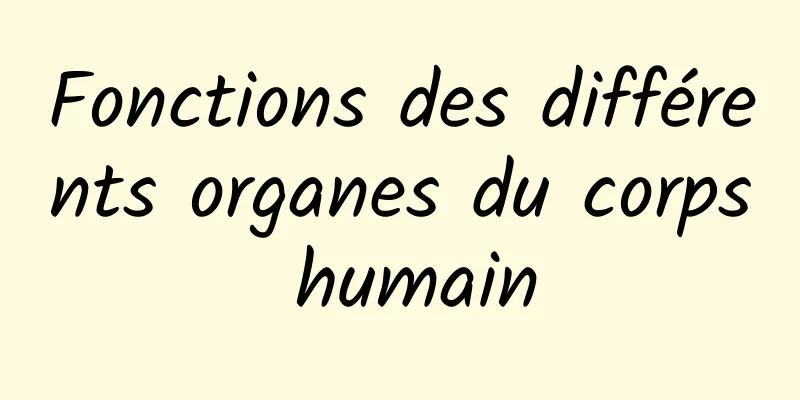 Fonctions des différents organes du corps humain