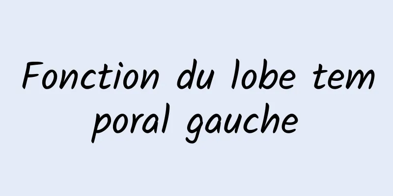 Fonction du lobe temporal gauche