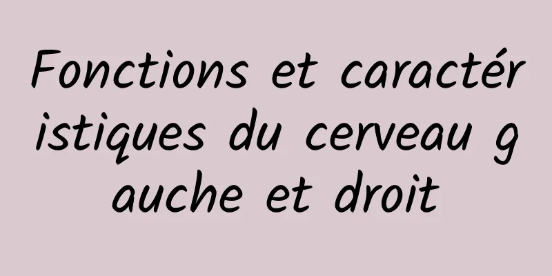 Fonctions et caractéristiques du cerveau gauche et droit