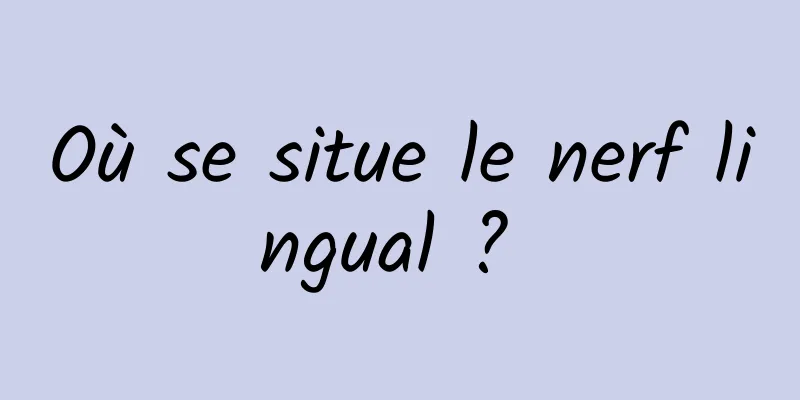 Où se situe le nerf lingual ? 