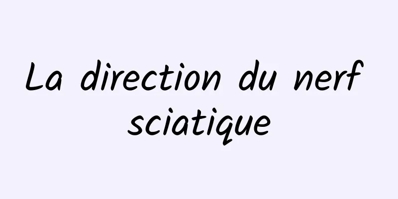 La direction du nerf sciatique