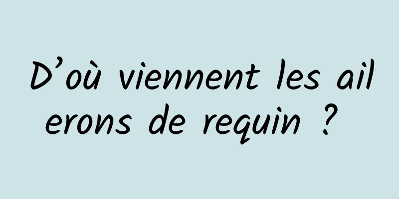 D’où viennent les ailerons de requin ? 