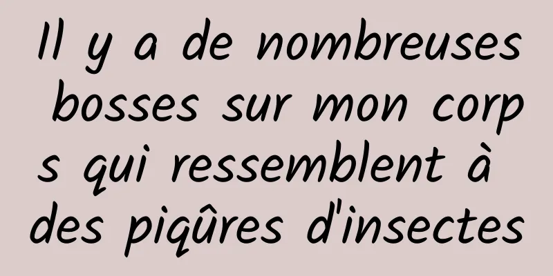 Il y a de nombreuses bosses sur mon corps qui ressemblent à des piqûres d'insectes