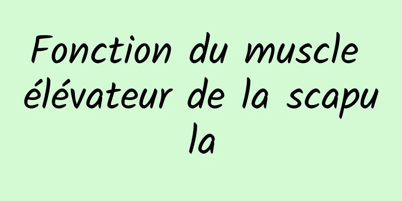 Fonction du muscle élévateur de la scapula