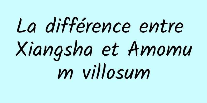 La différence entre Xiangsha et Amomum villosum