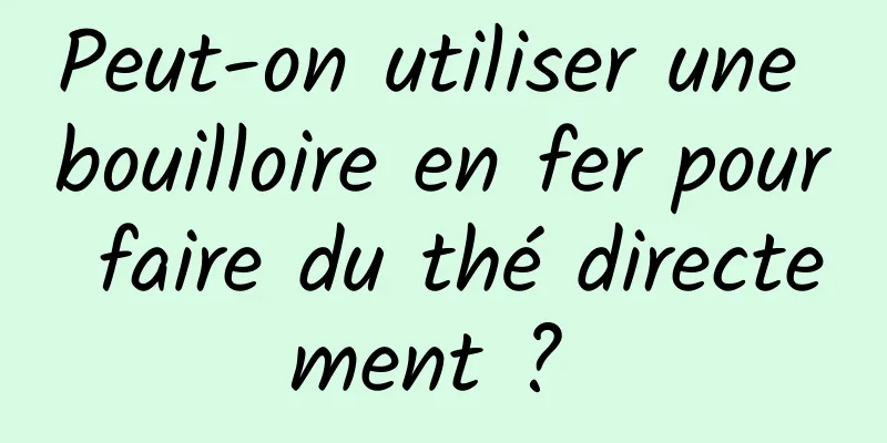 Peut-on utiliser une bouilloire en fer pour faire du thé directement ? 