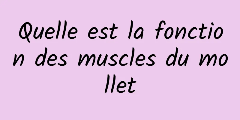 Quelle est la fonction des muscles du mollet