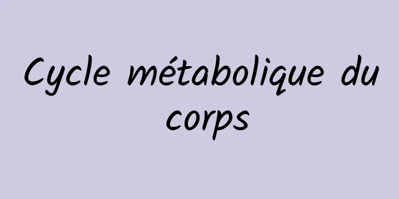 Cycle métabolique du corps