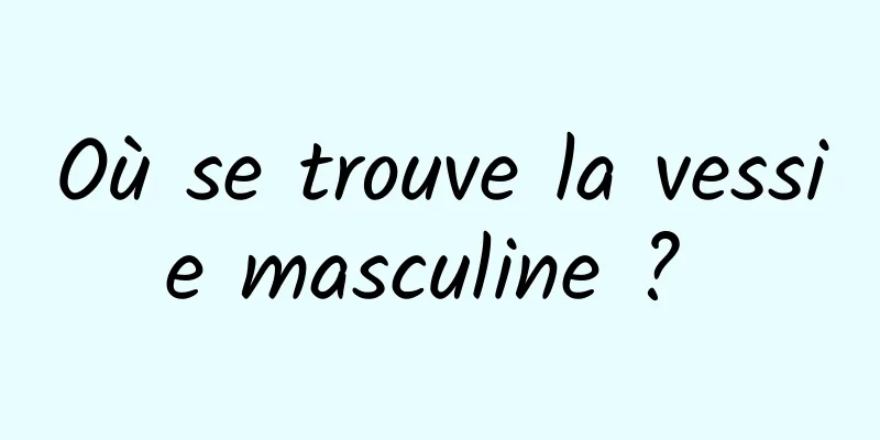 Où se trouve la vessie masculine ? 