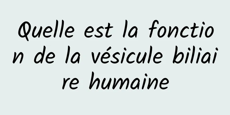 Quelle est la fonction de la vésicule biliaire humaine