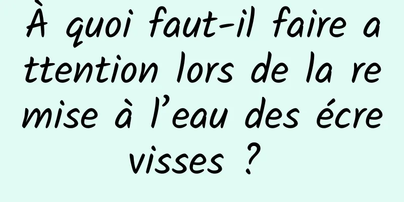 À quoi faut-il faire attention lors de la remise à l’eau des écrevisses ? 