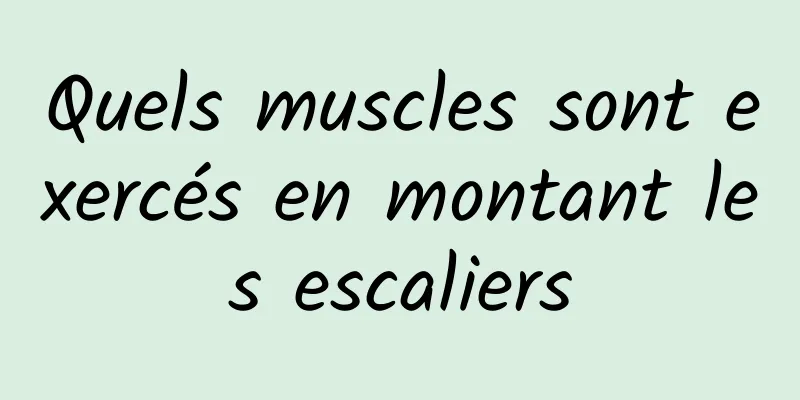 Quels muscles sont exercés en montant les escaliers