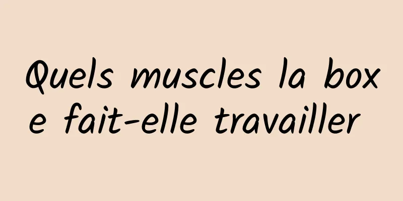 Quels muscles la boxe fait-elle travailler 