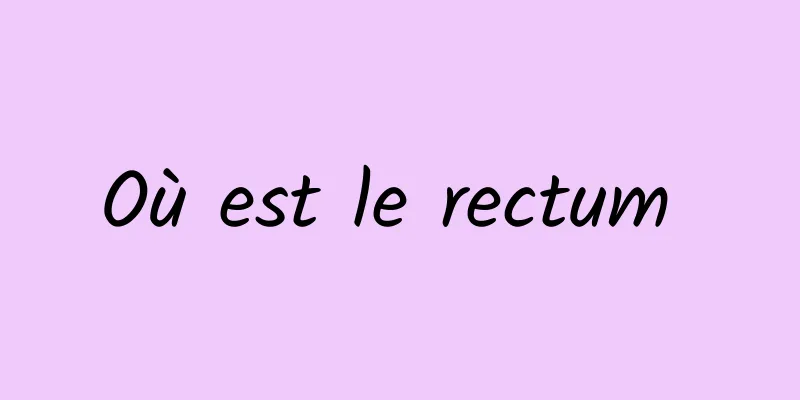 Où est le rectum 