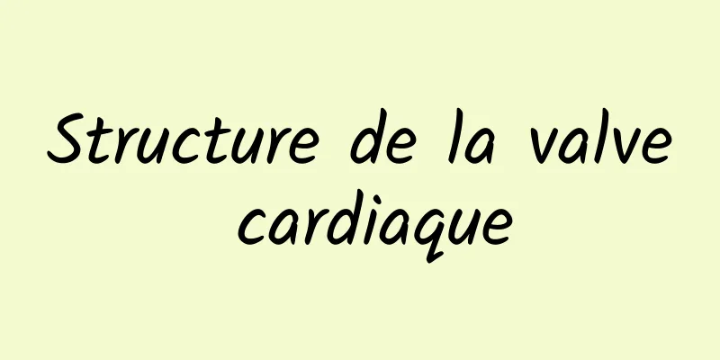 Structure de la valve cardiaque