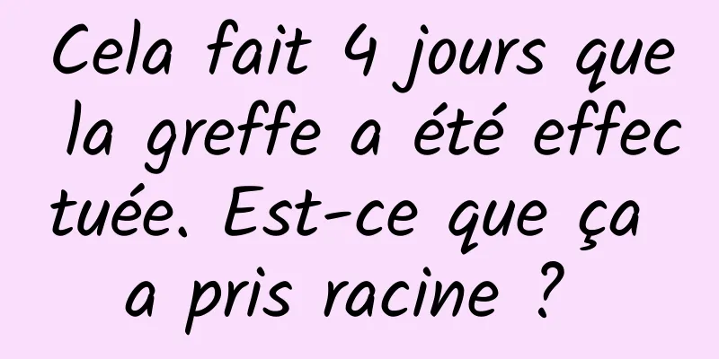 Cela fait 4 jours que la greffe a été effectuée. Est-ce que ça a pris racine ? 