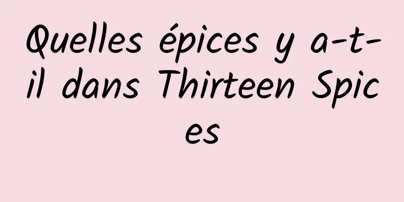 Quelles épices y a-t-il dans Thirteen Spices