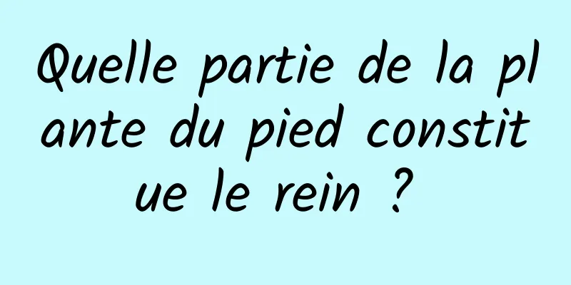 Quelle partie de la plante du pied constitue le rein ? 