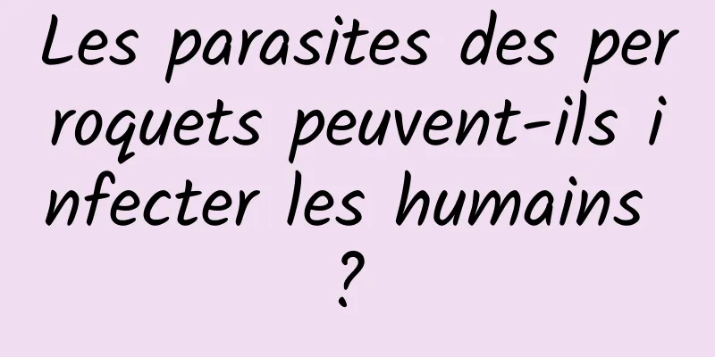 Les parasites des perroquets peuvent-ils infecter les humains ? 