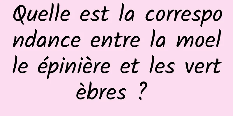 Quelle est la correspondance entre la moelle épinière et les vertèbres ? 