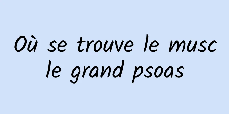 Où se trouve le muscle grand psoas