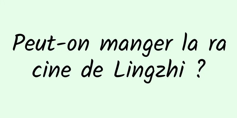 Peut-on manger la racine de Lingzhi ?