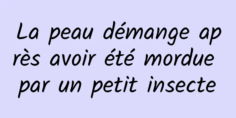 La peau démange après avoir été mordue par un petit insecte