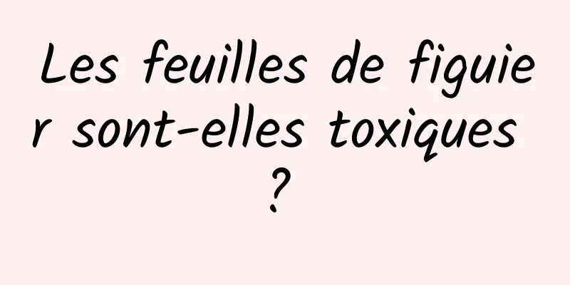 Les feuilles de figuier sont-elles toxiques ? 