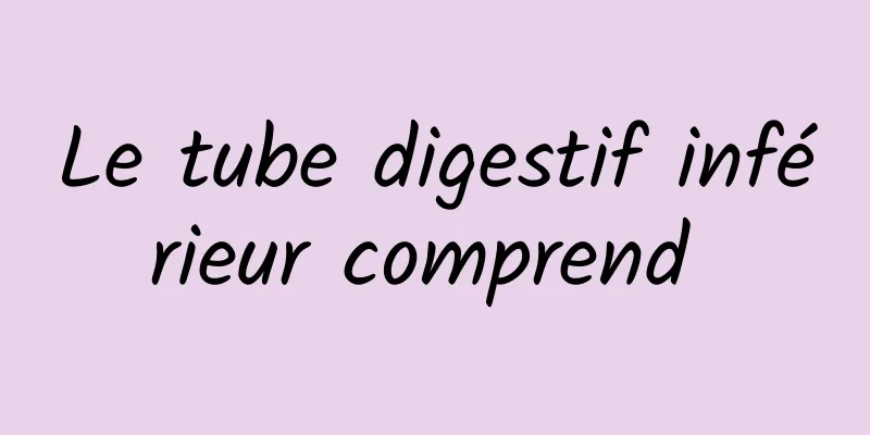 Le tube digestif inférieur comprend 